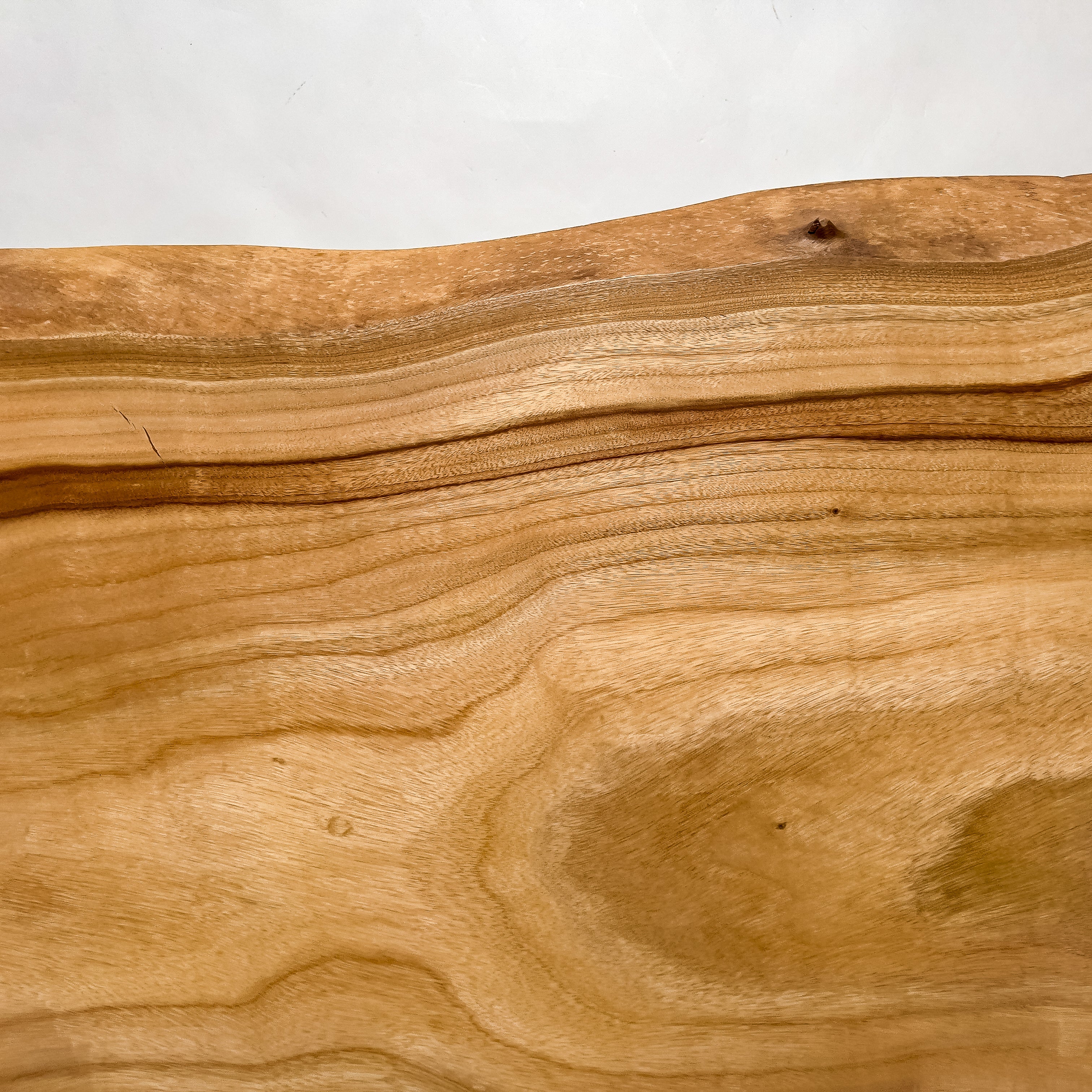 No.2194　楠（くす）/一枚板ベンチ