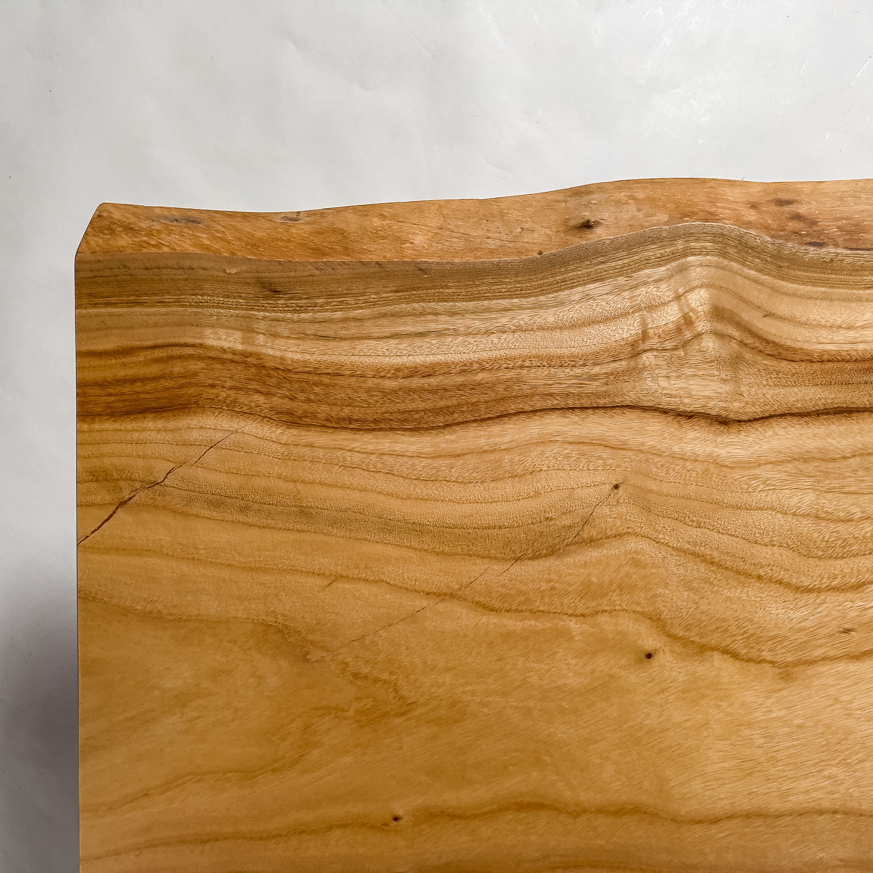 No.2194　楠（くす）/一枚板ベンチ