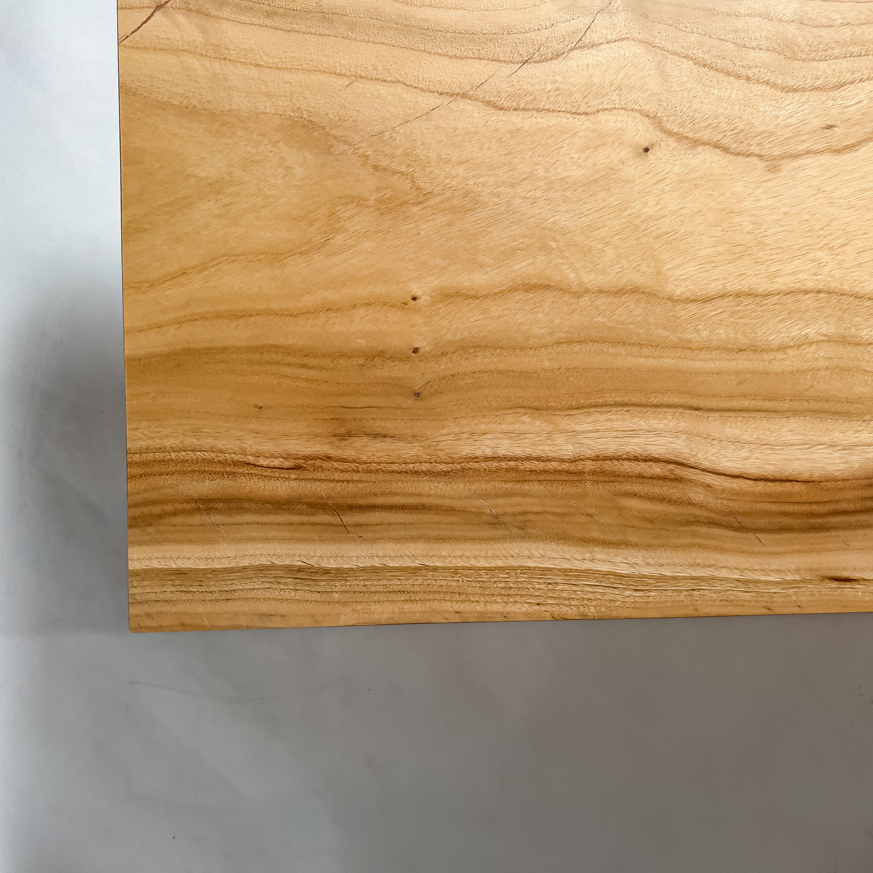 No.2194　楠（くす）/一枚板ベンチ