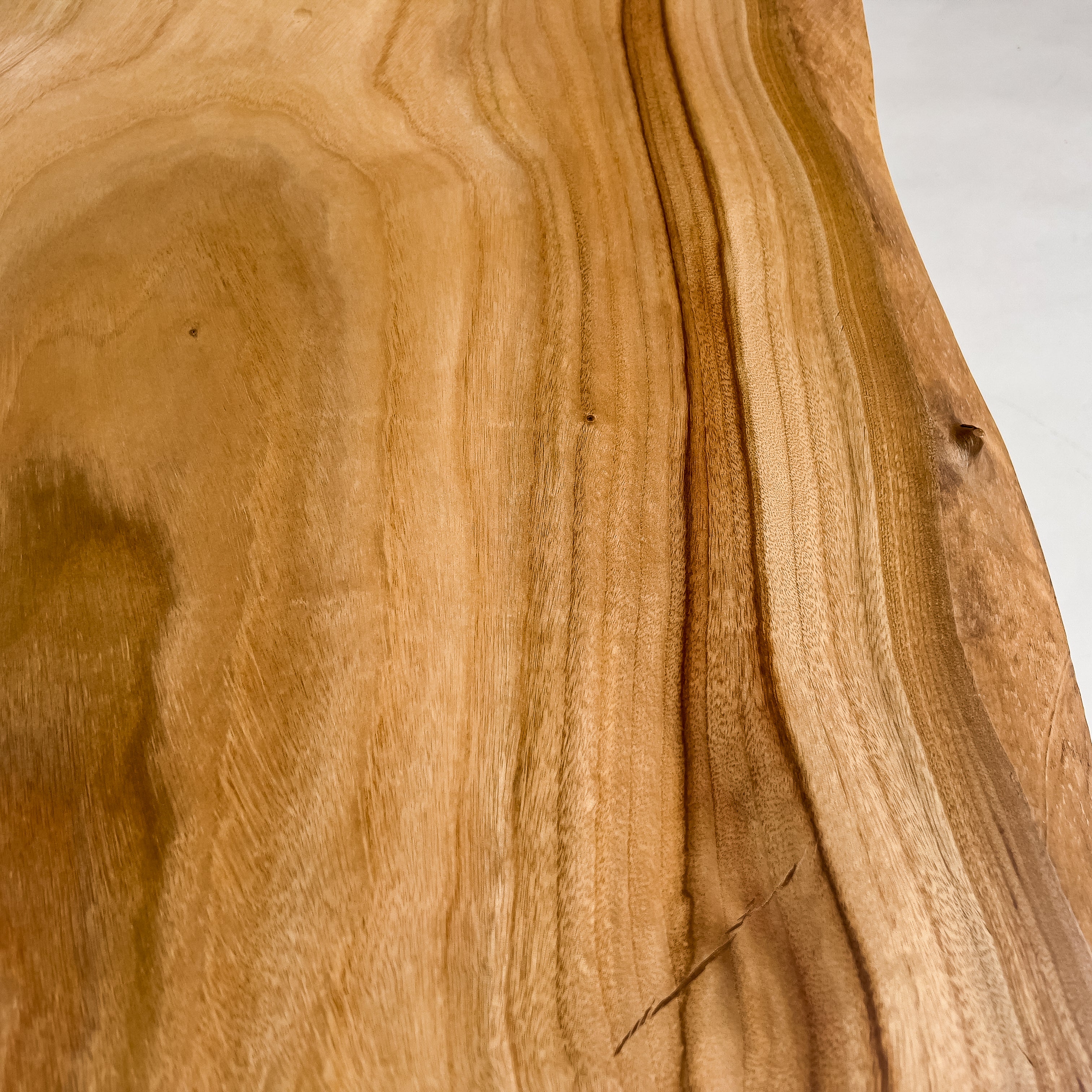 No.2194　楠（くす）/一枚板ベンチ