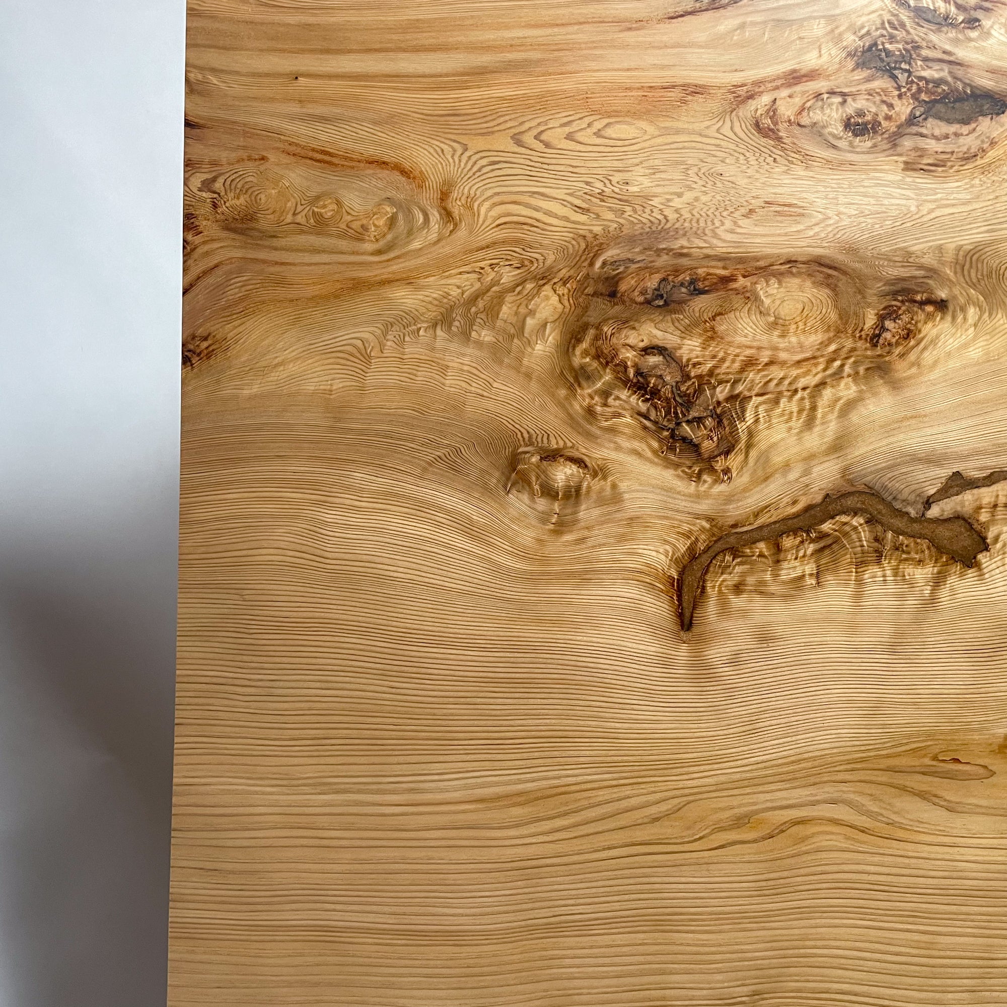 KIDOMEIMOKU 春日杉一枚板ダイニングテーブル｜200cm(6人掛け