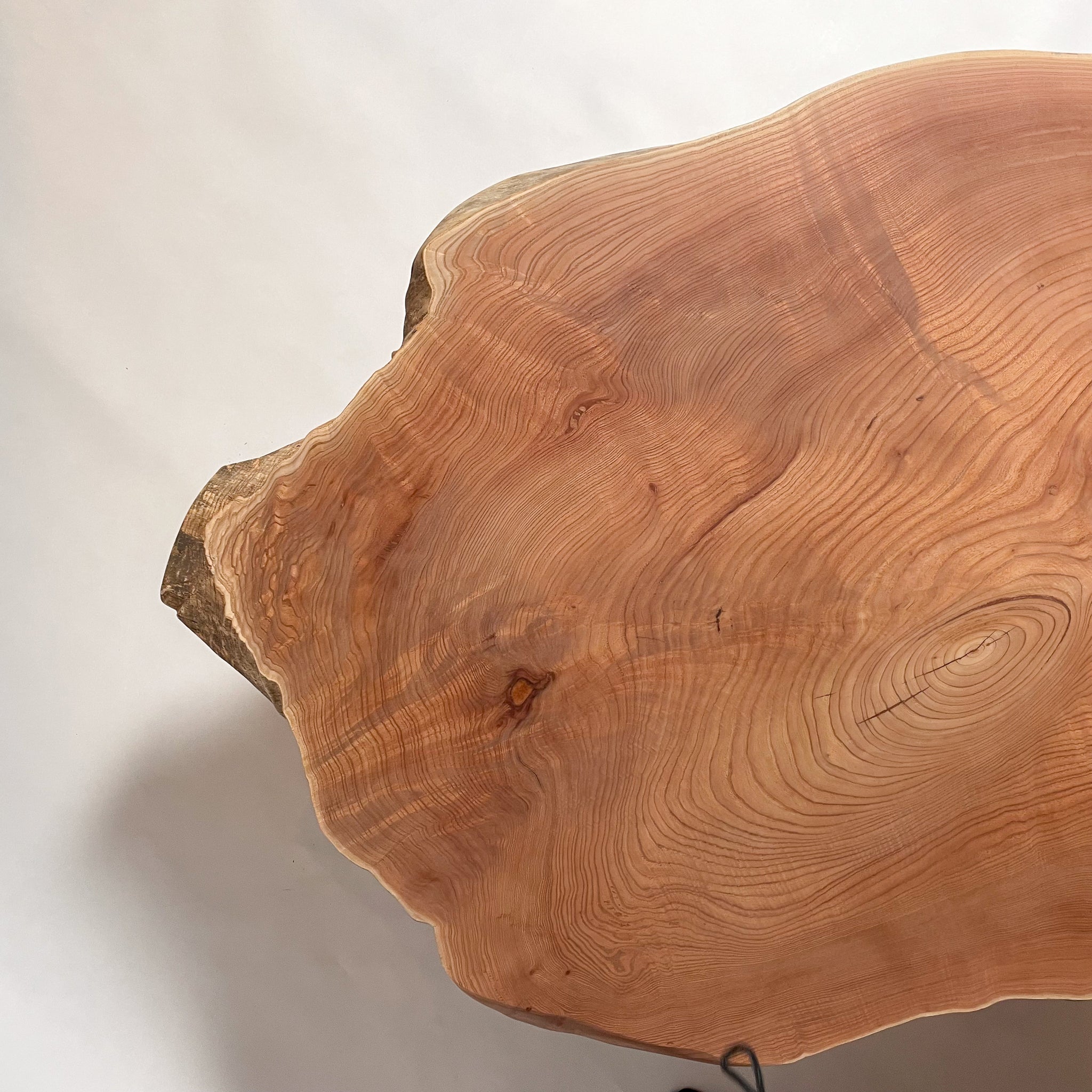 KIDOMEIMOKU センダン一枚板ダイニングテーブル｜180cm(4～6人掛け