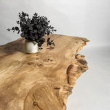 No.2334　ポプラ/一枚板リビングテーブル