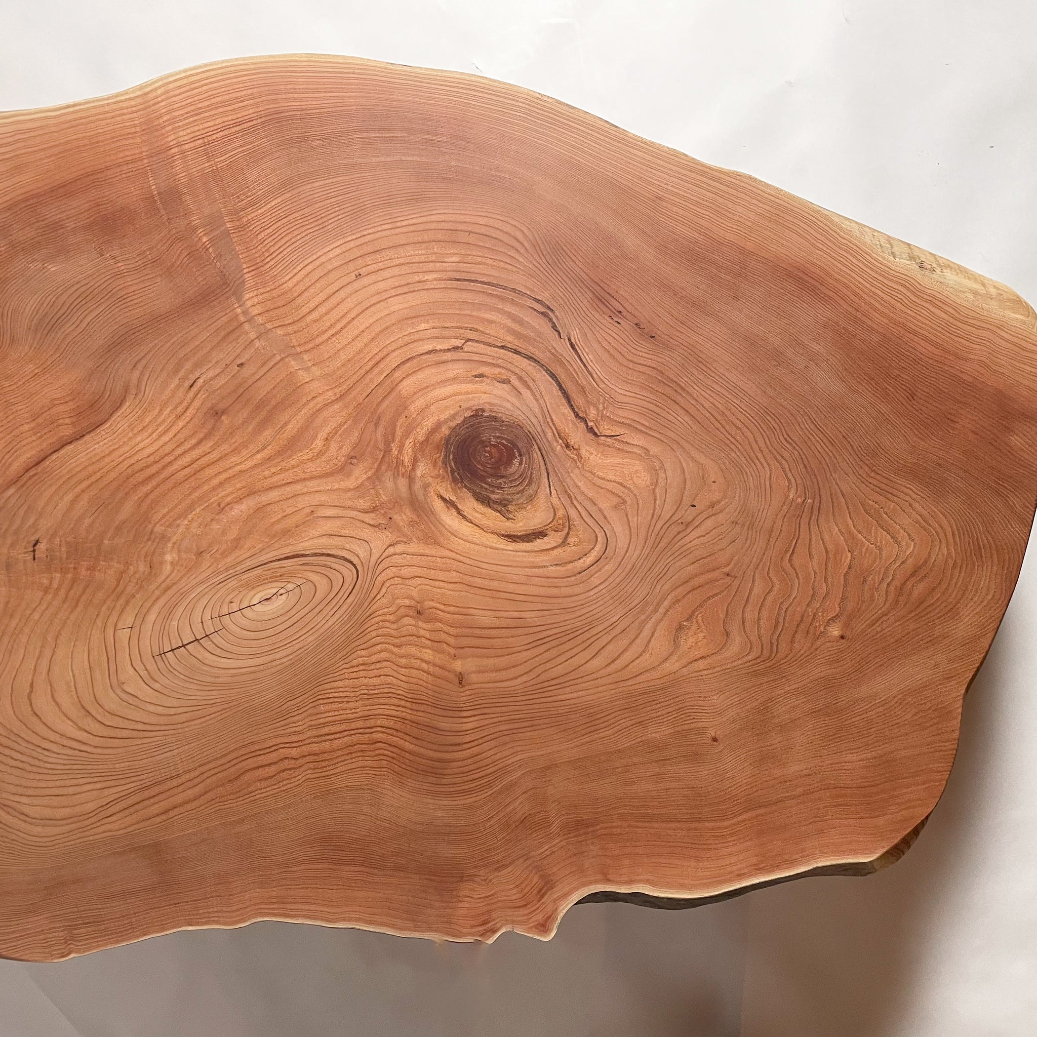 KIDOMEIMOKU センダン一枚板ダイニングテーブル｜180cm(4～6人掛け