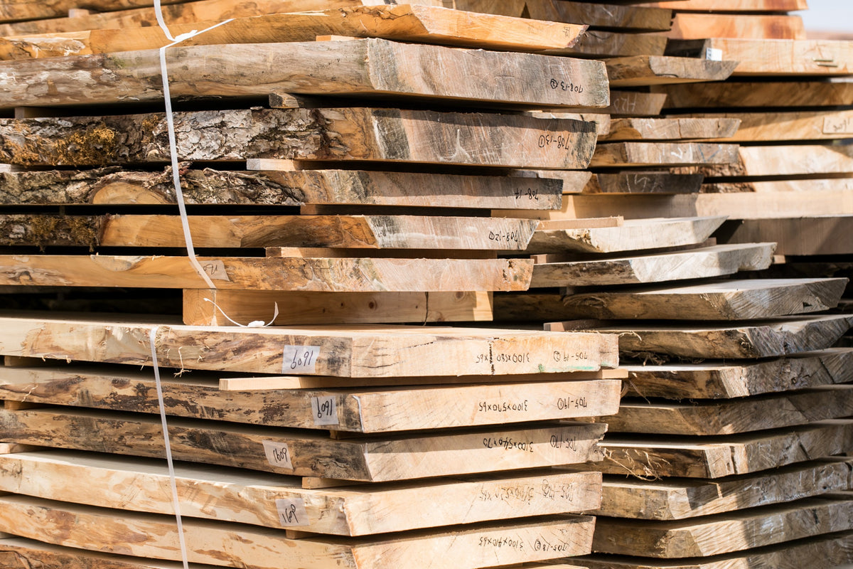 楠の品質を決める5つの要素