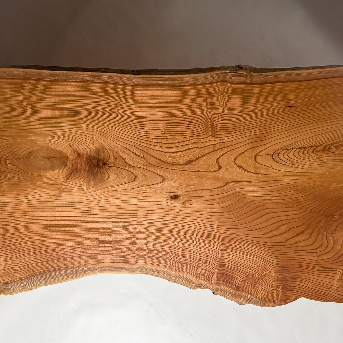 価格・信頼・比較で迷う理由